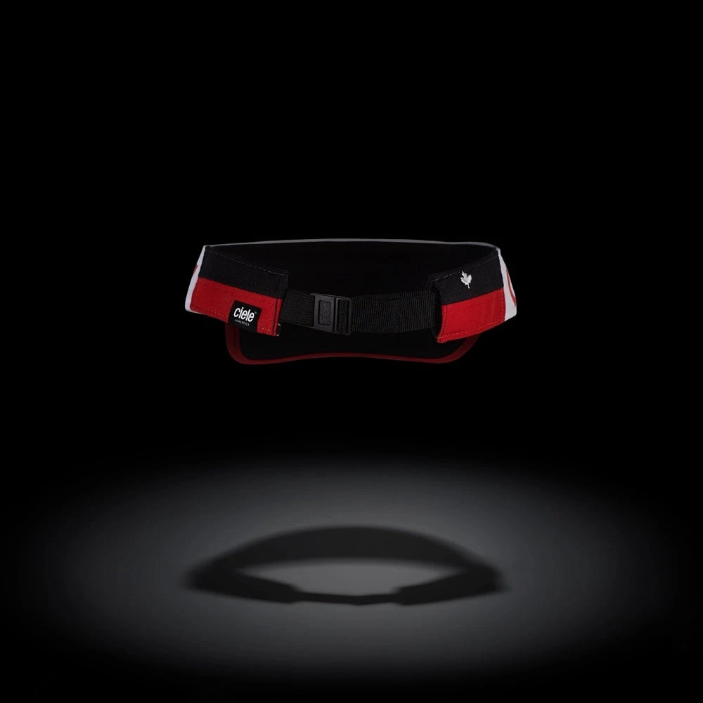 CIELE RPDVisor - Canada - Image 7