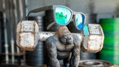 GOODR The OGs - Silverback Squat Mobility 11 GOODR The OGs - Silverback Squat Mobility -The Trail Runner Shop Product 0009 Silverback 1000x ecef299b 7014 4de8 9d2b a56256b02e95