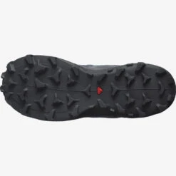 SALOMON Wildcross 2 Gore-Tex - Women's - FINAL SALE -The Trail Runner Shop l41457900 7 8e4e2vsbngd9tenp